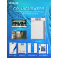 BIOBASE China Laboratory Automatic Touch Screen Constant-Temperature Incubator With Microprocessor Controller